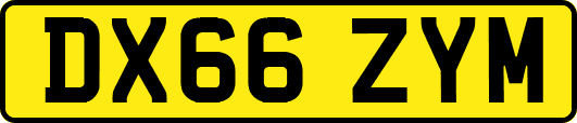DX66ZYM
