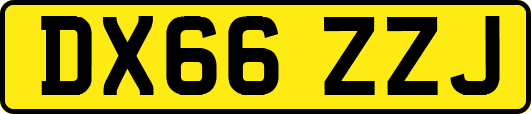 DX66ZZJ