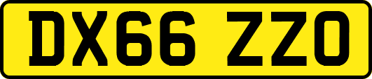 DX66ZZO