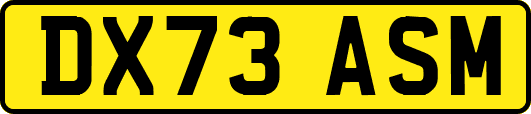 DX73ASM