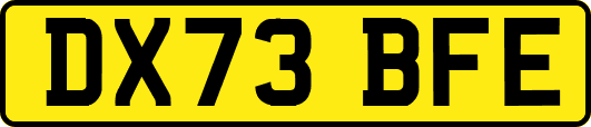 DX73BFE