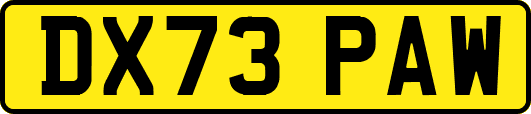 DX73PAW