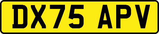 DX75APV