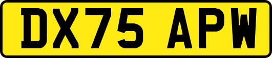 DX75APW