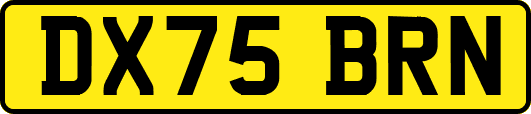 DX75BRN