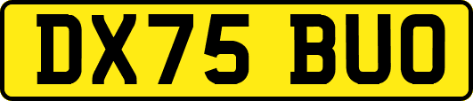 DX75BUO