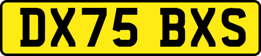 DX75BXS