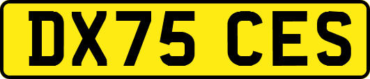 DX75CES