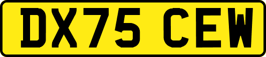 DX75CEW