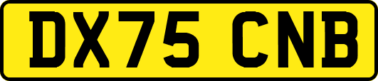 DX75CNB