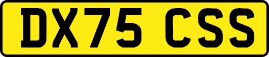 DX75CSS