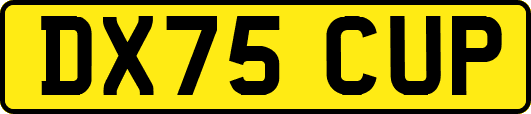DX75CUP