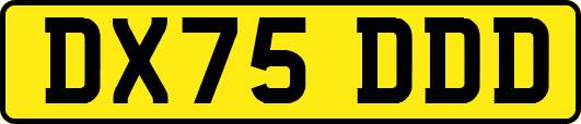 DX75DDD