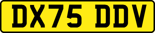 DX75DDV