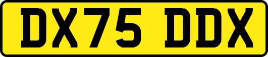 DX75DDX