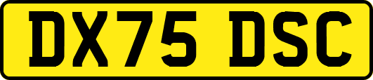 DX75DSC