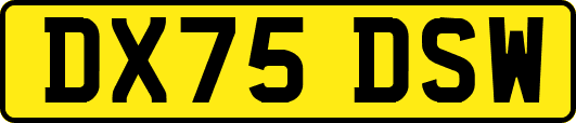 DX75DSW
