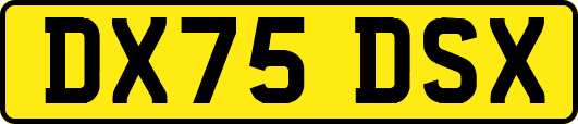 DX75DSX