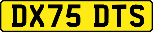 DX75DTS