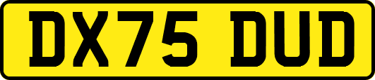 DX75DUD