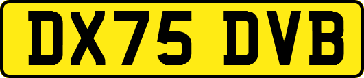 DX75DVB