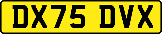 DX75DVX