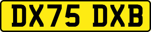 DX75DXB