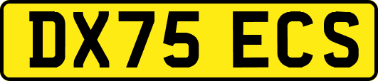 DX75ECS