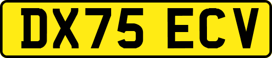 DX75ECV