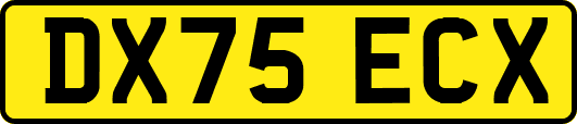 DX75ECX