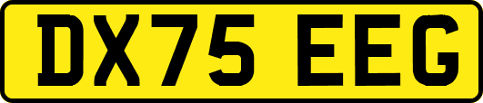 DX75EEG