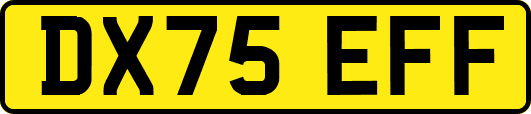 DX75EFF