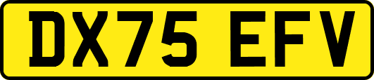 DX75EFV
