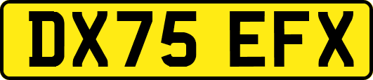 DX75EFX