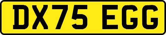 DX75EGG