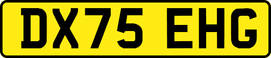 DX75EHG