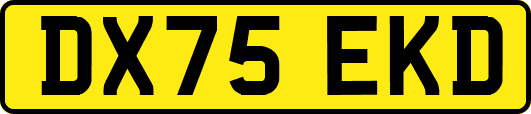 DX75EKD