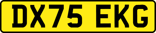DX75EKG