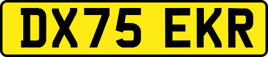 DX75EKR