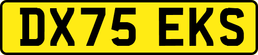 DX75EKS