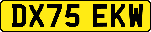 DX75EKW