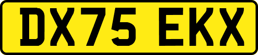 DX75EKX