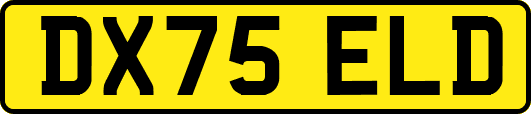 DX75ELD