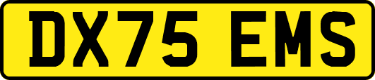 DX75EMS