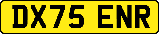 DX75ENR