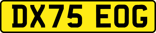 DX75EOG