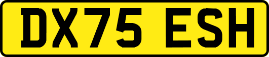 DX75ESH