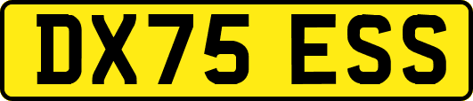 DX75ESS