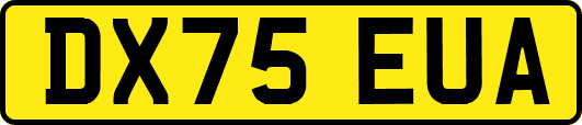 DX75EUA