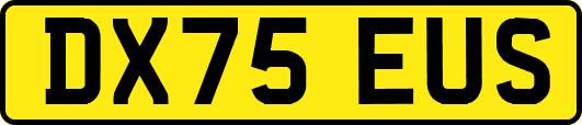 DX75EUS